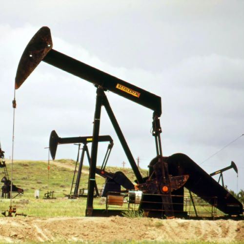 Home Rwenzori Fields